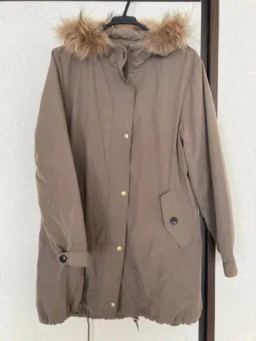 골든 베어 모즈 코트