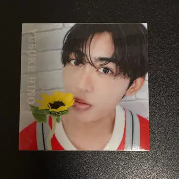 히노 유스케 벌스데이 이벤트 오리지널 가챠 8등 랜덤 스티커