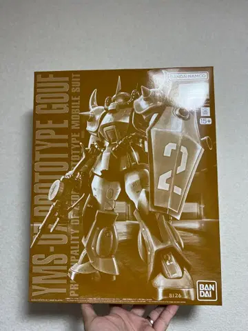 MG 1/100 프로토타입 구프