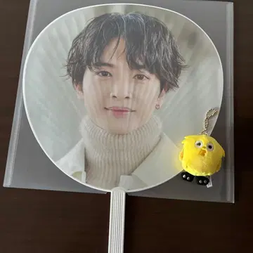 YUTA TAMAMORI 부채 스크리머즈 세트