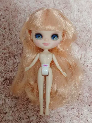 커스텀 미니 브라이스 오전 0시 비밀의 다회