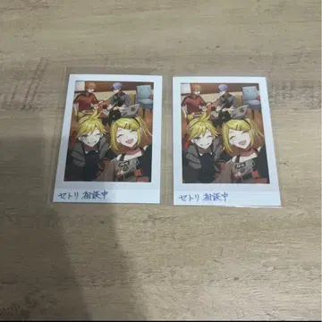 비비버스 여름 사진