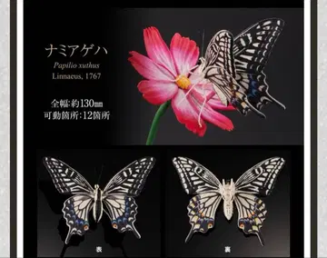 생물대도감 호랑나비 나미 캡슐 토이 가챠가챠 나비