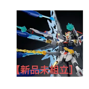 HGCE 1/144 스트라이크 프리덤 건담 빛의 날개 DX 에디션