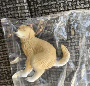 굼바리누 2 시크릿 골든 리트리버