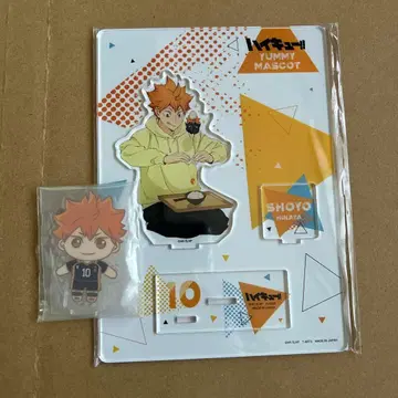 하이큐 히나타 쇼요 아크릴 스탠드 2개 세트