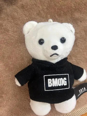 BE:FIRST 곰 마스코트 SOTA