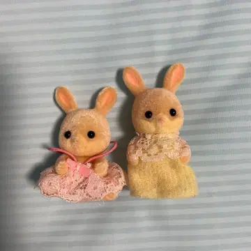 2000년 핑크 토끼 쌍둥이 아기 패밀리 클럽 회원 혜택