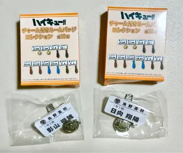 하이큐 카게야마 토비오 히나타 쇼요 참 포함 네임 배지 컬렉션 카라스노