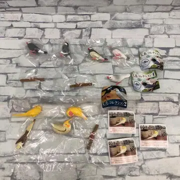 F1192 가챠 문조 컬렉션 손에 올리는 잉꼬 컬렉션 묶음 판매