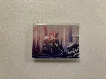 프로세카 노블 아트 30 선율 마후유