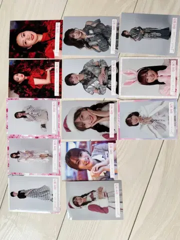 타무라 호노 13장 묶음 판매