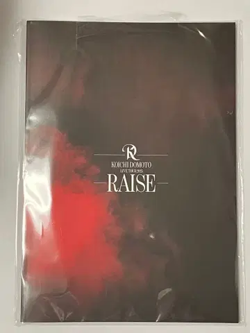 RAISE 팜플렛 도모토 코이치 솔로 콘서트