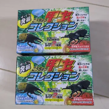 발굴 딱정벌레 컬렉션 2 상자