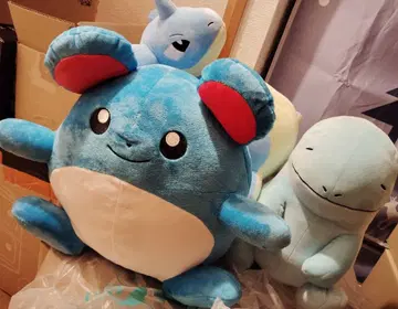 포켓몬 메챠모후굿토 흘겨보기 라프라스 노호혼 누오 마릴 세트