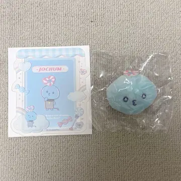 JOCHUM 마이쿤 시크릿 경질 카드 케이스 & 카드 브로치