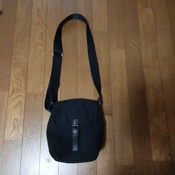 애니에스 b. 미니백