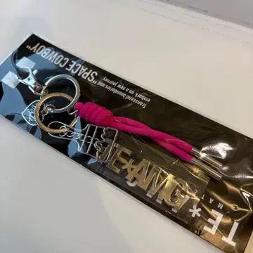 이와타 타카노리 TEAM G 백참