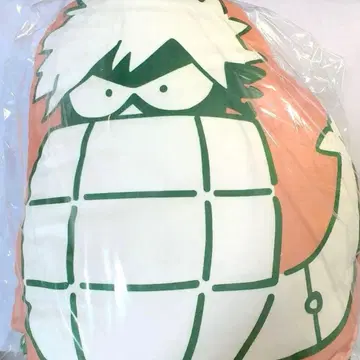 나의 히어로 아카데미아 원화전 다이나마 담요 in 쿠션