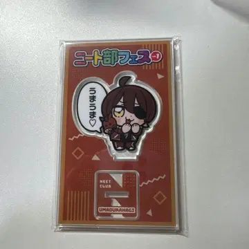 니트부 페스티벌 pus 우마즈라하귀