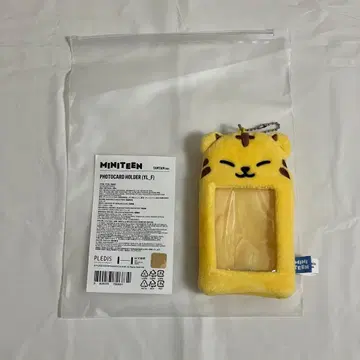 SEVENTEEN MINITEEN 탐탐 트레이딩 카드 케이스