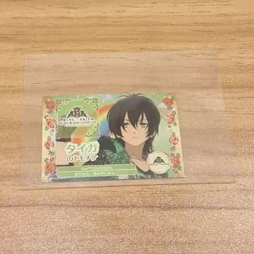 킨츠아 카가미 타이거 토모치케