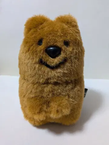 쿼카짱 봉제 인형