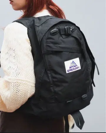 새상품 GREGORY NICE DAY NEW 22L BEAMS BOY
