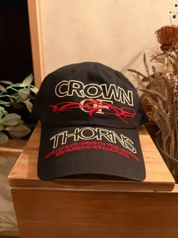 DNSR 야구 모자 KARINA 착용