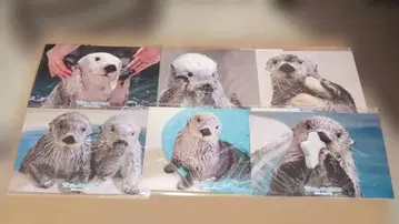 키라 메이 브로마이드 2장 세트 컴플리트 세트