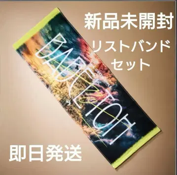 [ 새상품 미개봉 ] 바벨탑 미세스 그린 애플 타월 리스트 밴드 세트