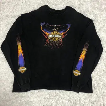 할리데이비슨 롱T 이글 프레임