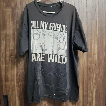 ALL MY FRIENDS ARE WILD 셔츠
