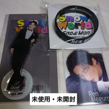 SnowMan 메구로 렌 아크릴 스탠드 SnowWorld2