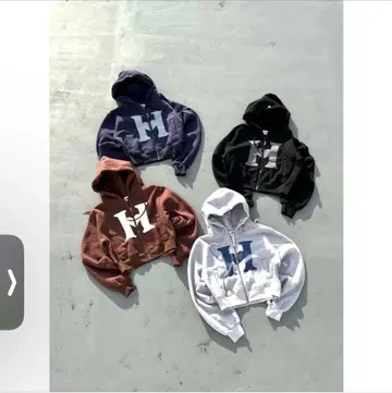 HTH 브라운 후드티 프론트 로고