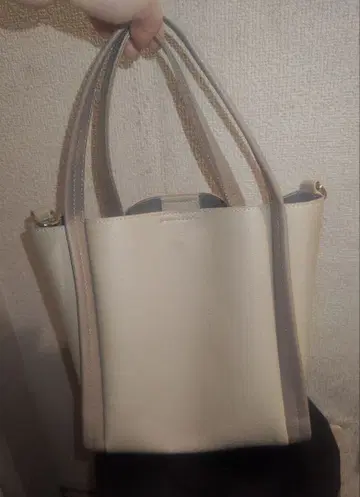 살롱 드 루방 핸드백 베이지 패스 케이스 포함