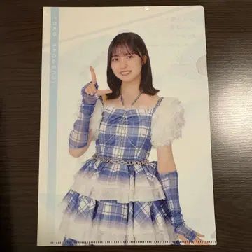 히나타자카46 제일복권 A4 클리어 파일 쇼겐지 요코