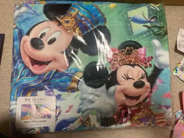 도쿄 디즈니 리조트 35주년 타월