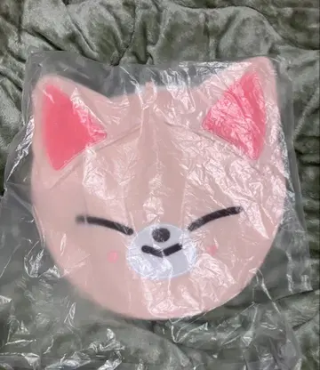 스키즈 아이엔 트레이딩 카드