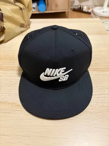 NIKE SB 캡