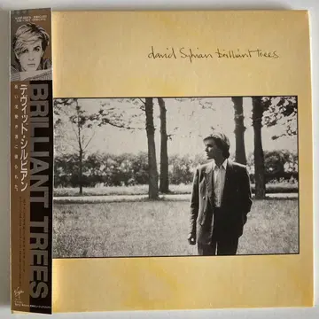 새상품급! 종이 자켓 CD 데이비드 실비안 david sylvian