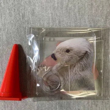 카프 복권 x 토바 수족관 펜 스탠드 메이 캐치!