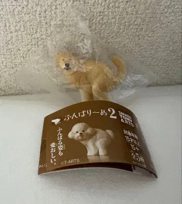 푼바리누 2 시크릿 피규어