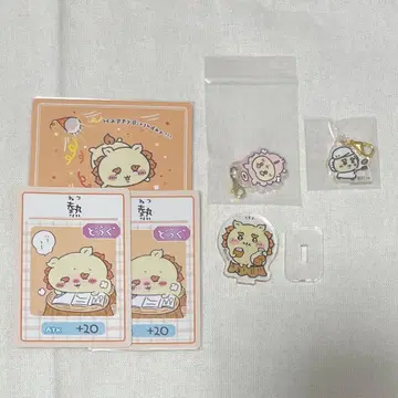 치이카와 시사 세트