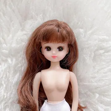 최종 처분 리카짱 타카라토미