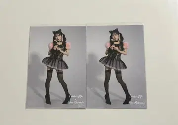 AKB48 대 의상전 다이마루 샤무 고양이 무카이치 미온 브로마이드