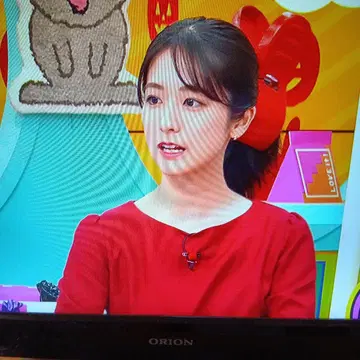 머플러 트레이닝복, 긴팔 T셔츠, 긴팔 셔츠 묶음 판매