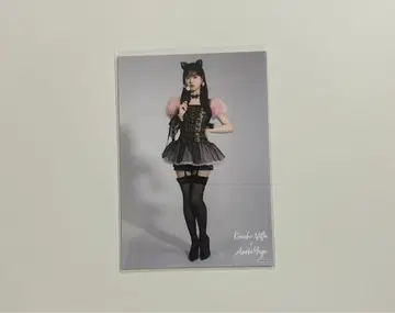 AKB48 대 의상전 다이마루 샤무고양이 야기 아이츠키 브로마이드