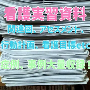USB 간호학과 학생 실습 연관도 간호 계획 헨더슨 사정 고든