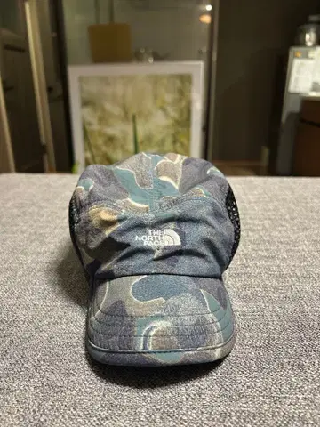 THE NORTH FACE 카모 패턴 캡